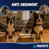 PAWPATTE Collier Anti Aboiement 2en1 Chien avec Télécommande – Dressage et Rappel Sans Choc, Son & Vibration, Détection Intelligente des Aboiements, Rechargeable, Étanche IP67, 3 Chiens, Petit à Grand