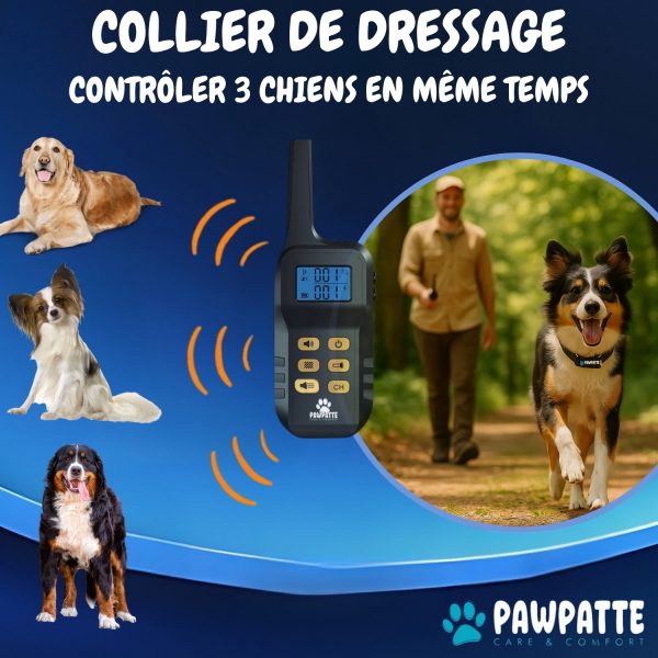 PAWPATTE Collier Anti Aboiement 2en1 Chien avec Télécommande – Dressage et Rappel Sans Choc, Son & Vibration, Détection Intelligente des Aboiements, Rechargeable, Étanche IP67, 3 Chiens, Petit à Grand